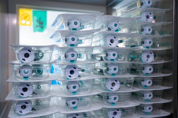 CE 인증 12mm 해슨형 일회용 복강경 수술용 트로카 Surgsci Medical 5